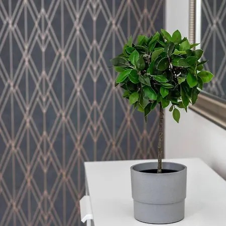 Extra Brand New And Large Ac